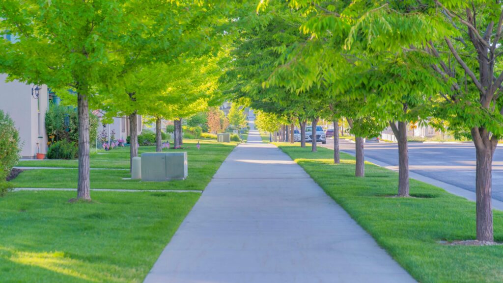 Insider Trent Woods June 2026: A local perspective on home, lifestyle, and what’s happening around us
