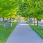 Insider Trent Woods June 2026: A local perspective on home, lifestyle, and what’s happening around us