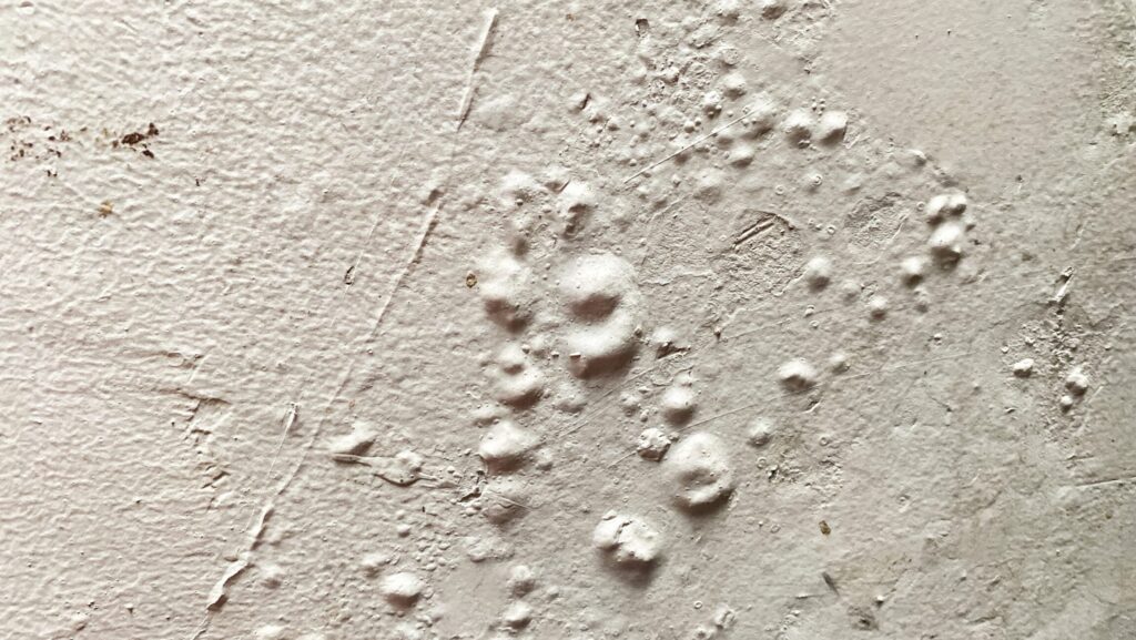What Your Paint Could Be Hiding: Damage Within Your Walls