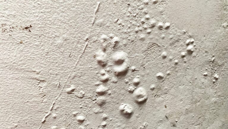 What Your Paint Could Be Hiding: Damage Within Your Walls