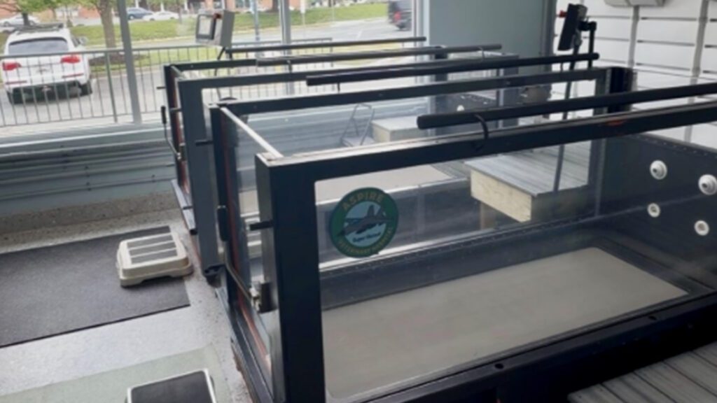 Aquatics for Pets: What is an Underwater Treadmill & When is it Used?