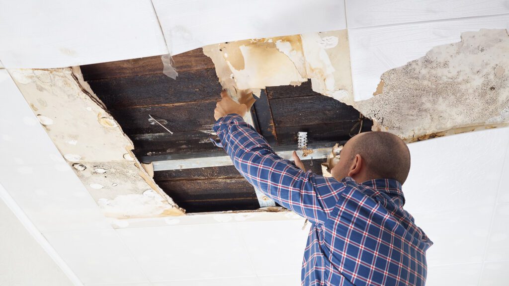 I Have Water Damage in My Home (or Business). Now What?