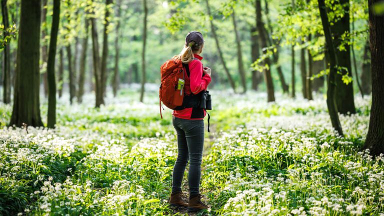 Understanding Anxiety and Depression from a Traditional Chinese Medicine Perspective