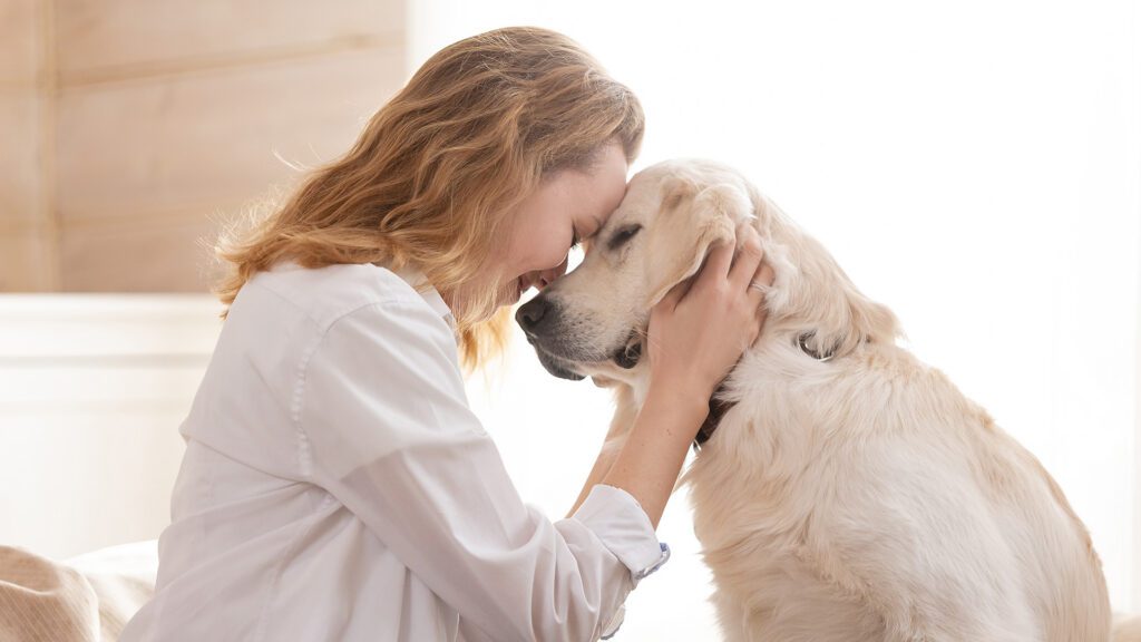 The Pain You Don’t Know: Helping Pets Who Can’t Speak