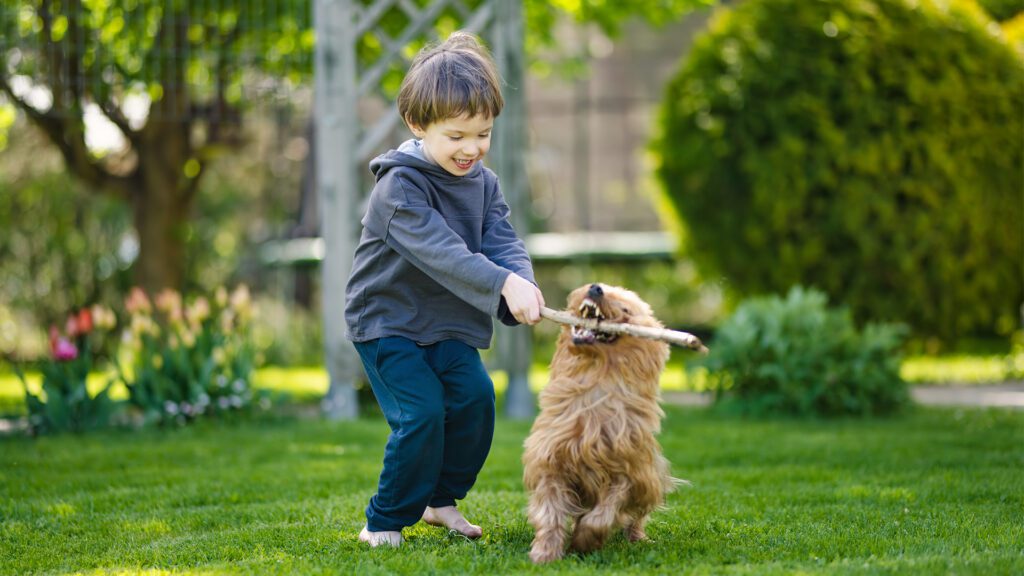Taking Back Your Yard: Protecting Your Family and Pets This Summer