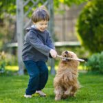 Taking Back Your Yard: Protecting Your Family and Pets This Summer