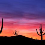 Inside the Growth Shaping Desert Ridge