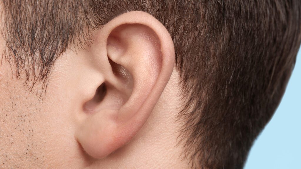 Ear Emanations with Berkeley Hearing Center