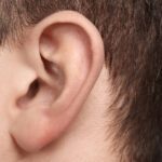 Ear Emanations with Berkeley Hearing Center