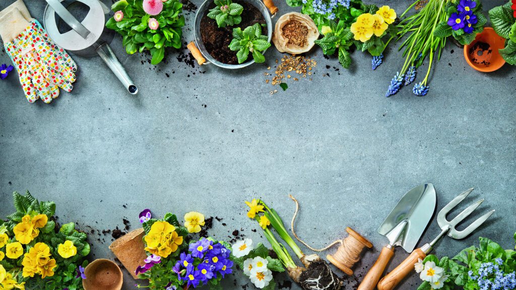 Why We Still Say: “Wait to Plant”