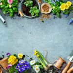 Why We Still Say: “Wait to Plant”