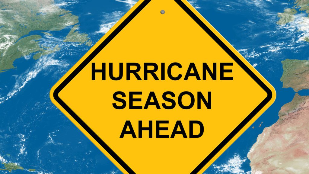Preparing Your Trees for Hurricane Season