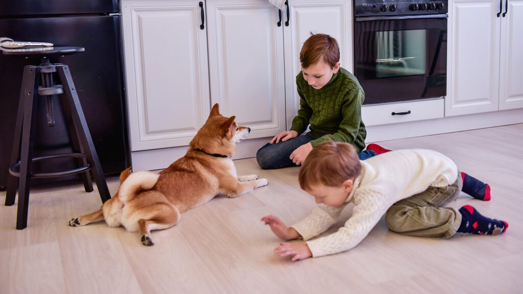 A Holland Guide to Flooring for Homes with Kids and Pets