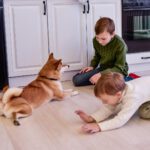 A Holland Guide to Flooring for Homes with Kids and Pets