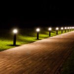 Enhance Your Home’s Summer Look With Custom Landscape Lighting