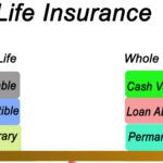 Understanding Life Insurance: What You Need to Know to Protect Your Loved Ones
