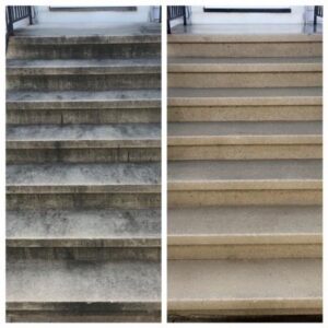 mold removal-Clean Machine Power Wash-Longmeadow Neighbors