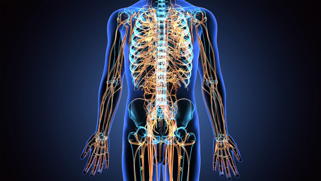 Why Your Wearable Can’t Fix Your Nervous System
