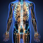 Why Your Wearable Can’t Fix Your Nervous System