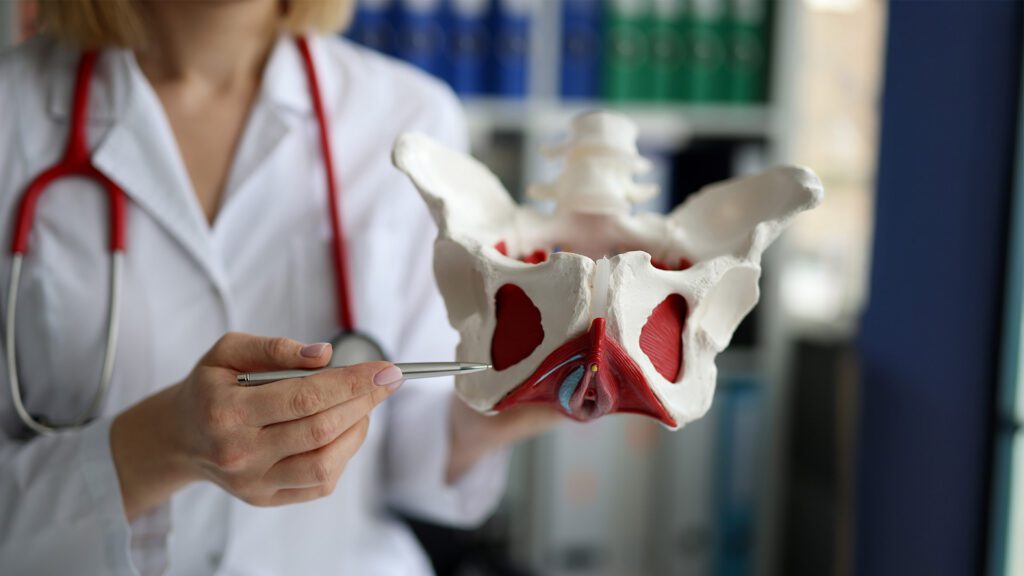PhysioFit Physical Therapy & Wellness in Los Altos Expands Specialized Pelvic Health Care for Women