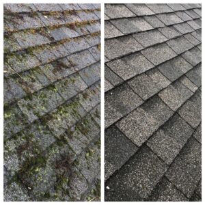 roof-Clean Machine Power Wash-Longmeadow Neighbors.