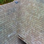 What to Look for When Inspecting Your Roof, Gutters, & Siding