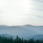 Will a Recession Affect North Shore Real Estate?