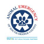 Molly Backus, DVM - Emergency Veterinarian