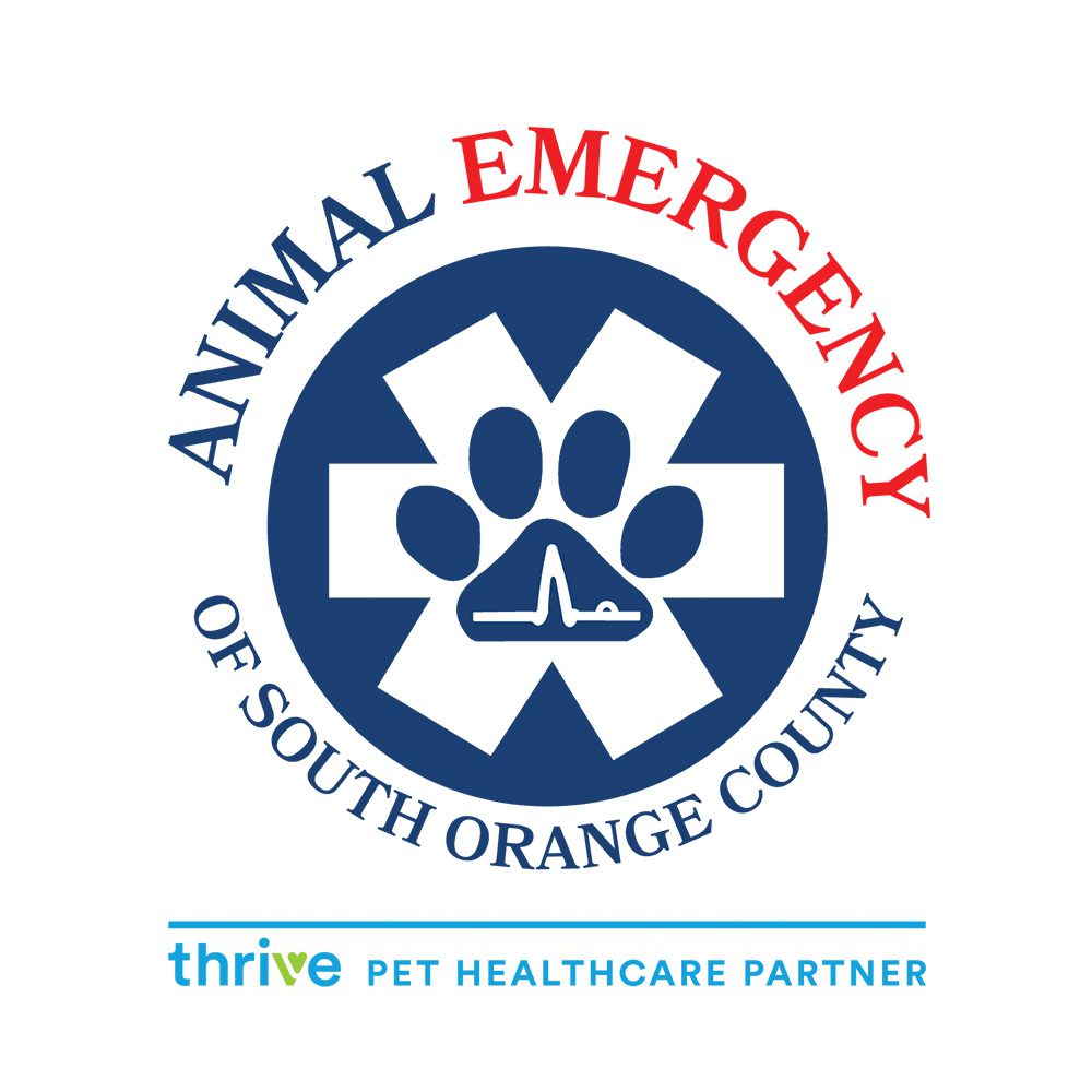 Molly Backus, DVM - Emergency Veterinarian