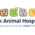 Planning for the Unexpected: How Pet Insurance Can Help Protect Your Pet and Your Budget