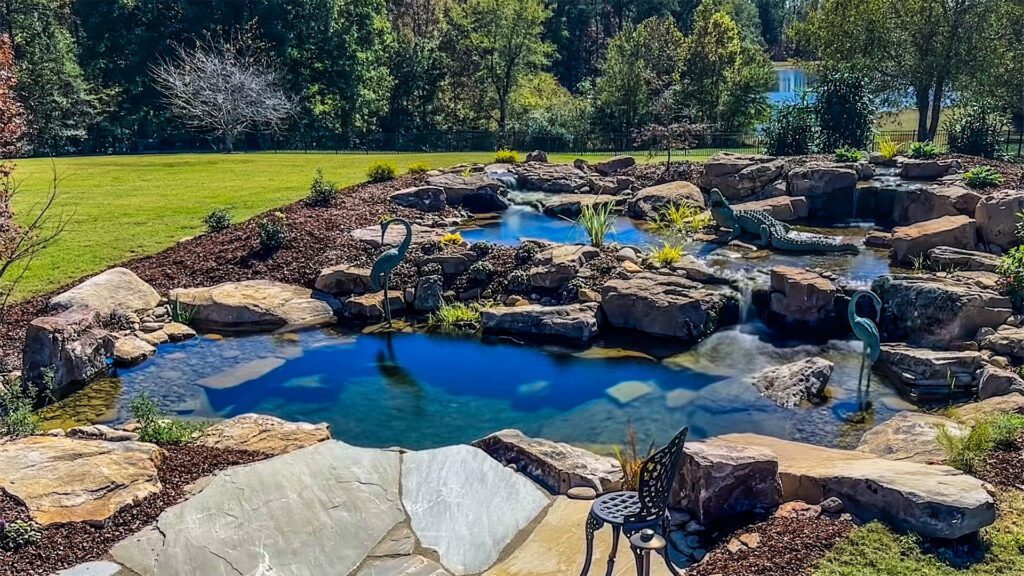More Than a Water Feature: How a Properly Planted Pond Transforms Your Yard Into a Living Ecosystem