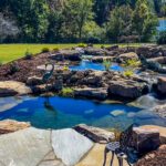 More Than a Water Feature: How a Properly Planted Pond Transforms Your Yard Into a Living Ecosystem
