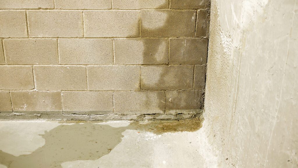 The Silent Enemy Every Michigan Homeowner Must Take Seriously