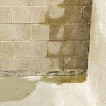 The Silent Enemy Every Michigan Homeowner Must Take Seriously