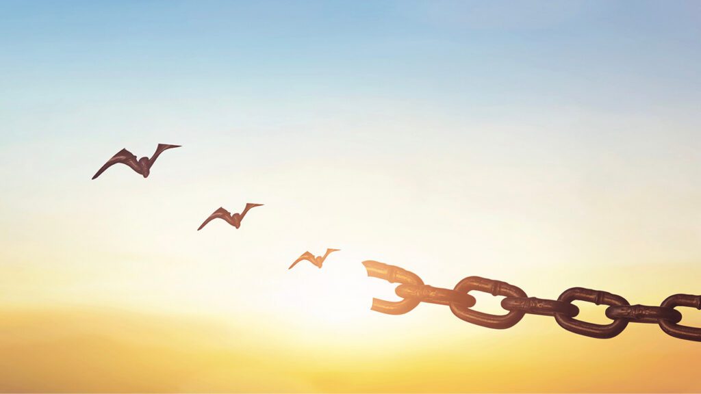 Untouchable Freedom: A Message From Taylor Road Baptist Church