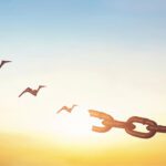 Untouchable Freedom: A Message From Taylor Road Baptist Church