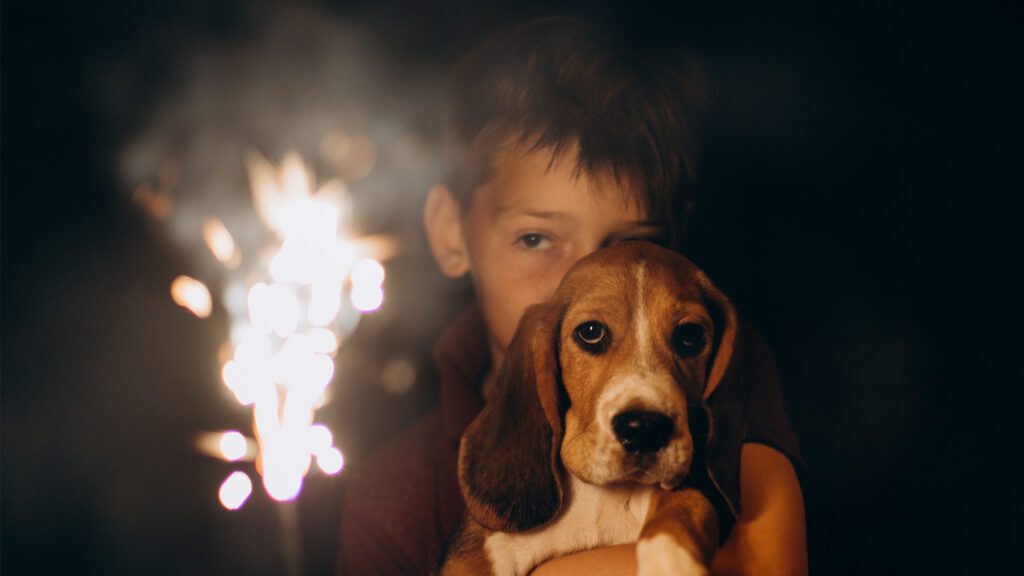 Fireworks and Pets: Helping Your Pet Feel Safe This Fourth of July
