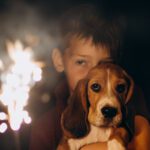 Fireworks and Pets: Helping Your Pet Feel Safe This Fourth of July