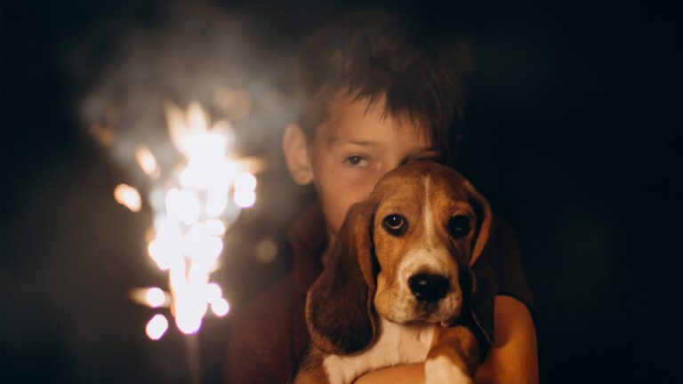 Fireworks and Pets: Helping Your Pet Feel Safe This Fourth of July