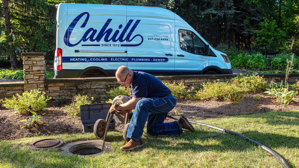 Why Tree Roots Destroy Sewer Lines: Underground on the North Shore With Andy Visconi, Sewer and Drain Specialist