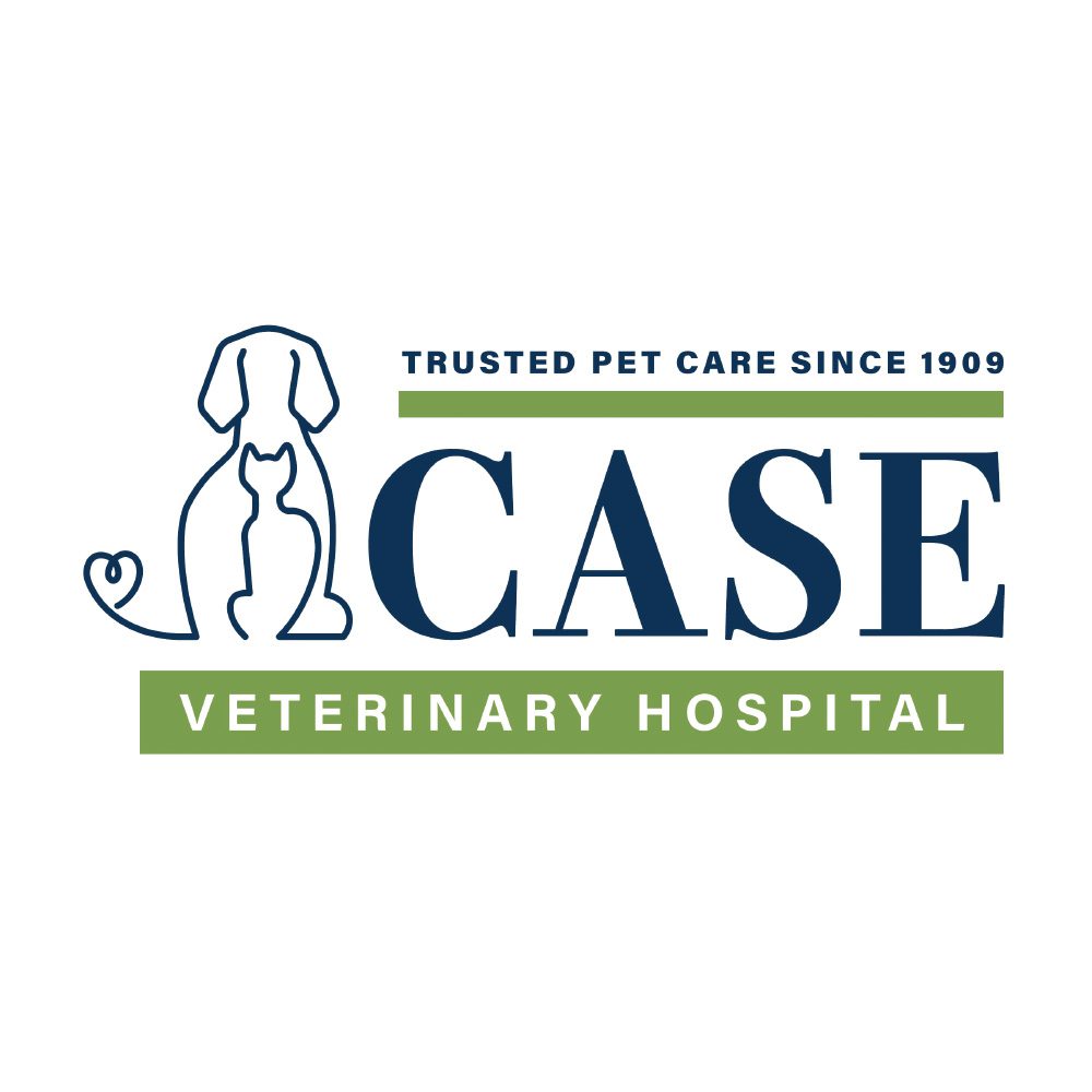 Dr. Carla Case McCorvey