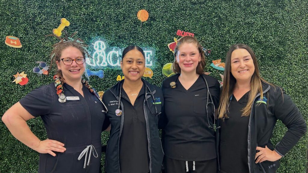 Case Veterinary Hospital Team Members
