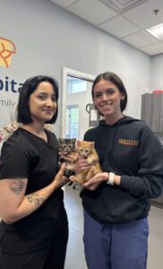 Cats-Ark Animal Hospital