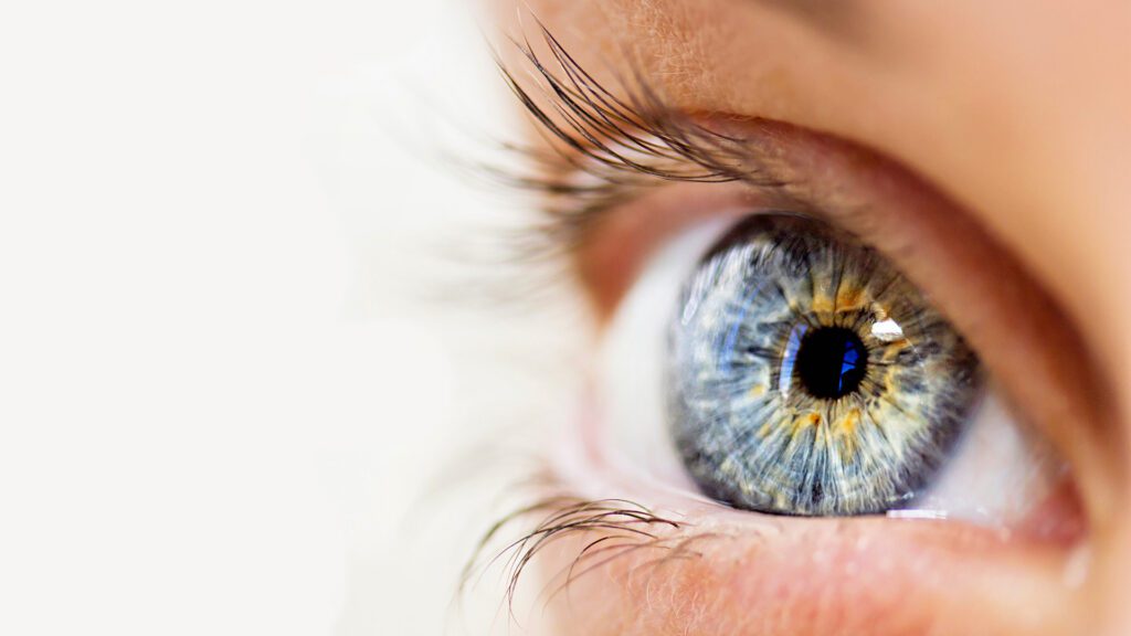 Enhance Your Game While Protecting Your Vision