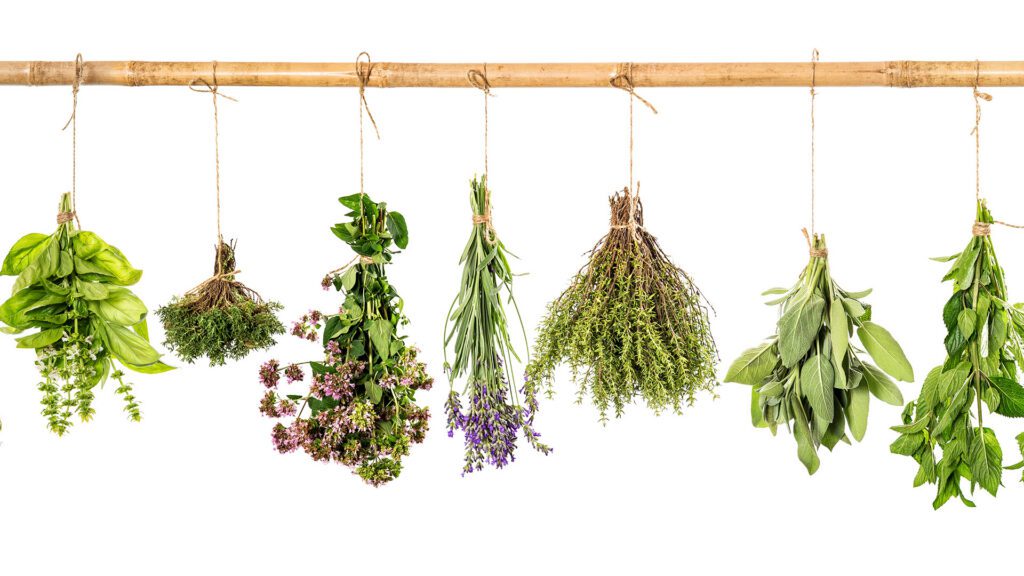 Simple Skincare Recipes Straight From Your Garden