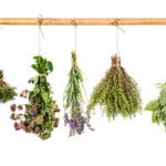 Simple Skincare Recipes Straight From Your Garden