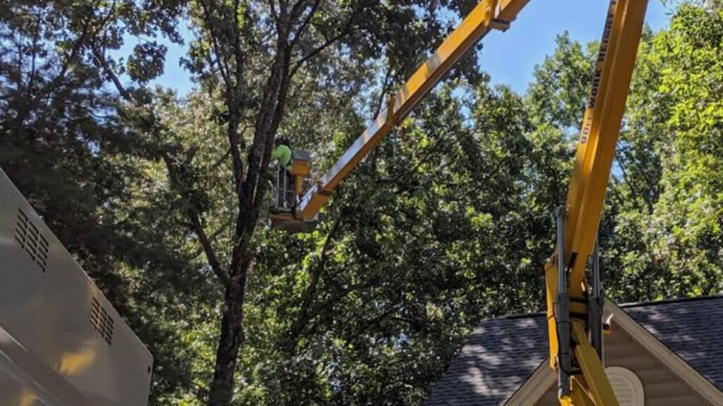 The View From 70 Feet Up: Why I Treat Your Lawn Like My Own