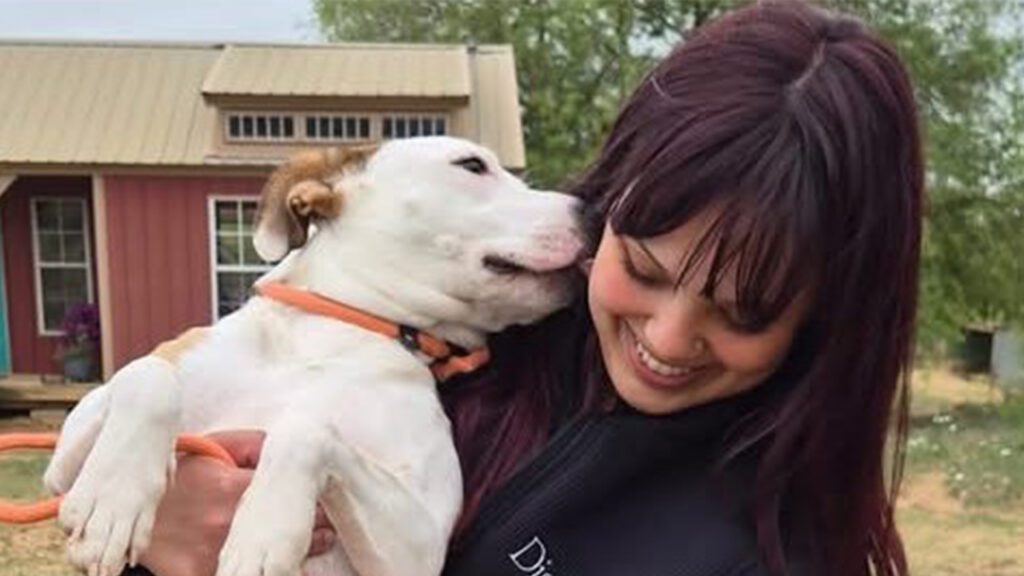 The Healing Power of Pets