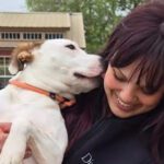 The Healing Power of Pets