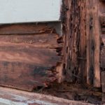 Exterior Wood Rot: Why Trim Is Most at Risk — and How to Prevent It for Good